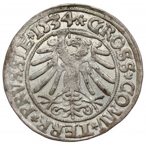 Zygmunt I Stary, Grosz Toruń 1534 - piękny