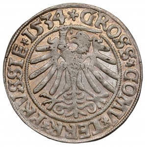 Zygmunt I Stary, Grosz Toruń 1534