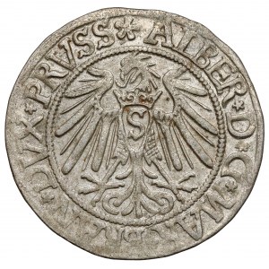 Prusy, Albrecht Hohenzollern, Grosz Królewiec 1539