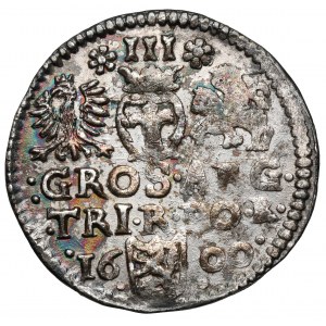Zygmunt III Waza, Trojak Bydgoszcz 1600