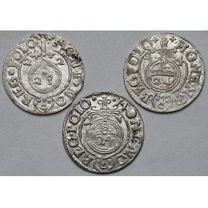 Zygmunt III Waza, Półtoraki Bydgoszcz 1622-1624 - zestaw (3szt)