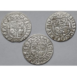 Zygmunt III Waza, Półtoraki Bydgoszcz 1622-1624 - zestaw (3szt)