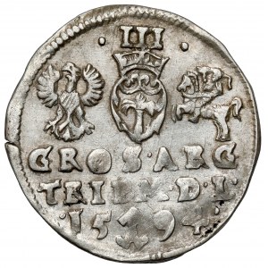 Zygmunt III Waza, Trojak Wilno 1594