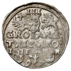 Zygmunt III Waza, Trojak Poznań 1597 - kwiat