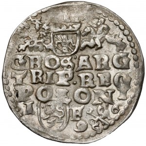 Zygmunt III Waza, Trojak Lublin 1596