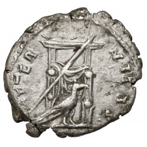 Faustyna I Starsza (138-141 n.e.) Denar pośmiertny