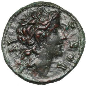 Mysia, Cyzicus, Pseudo-anonimowa emisja, AE29 (253-268 n.e.)