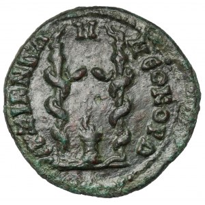Mysia, Cyzicus, Pseudo-anonimowa emisja, AE29 (253-268 n.e.)