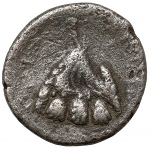 Antoninus Pius (138-161 n.e.) Didrachma, Kapadocja, Cezarea