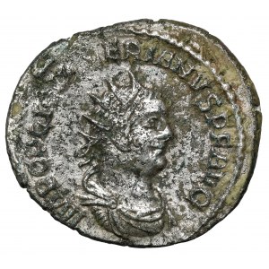 Walerian (253-260 n.e.) Antoninian