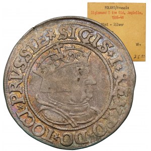 Zygmunt I Stary, Grosz Toruń 1534 - z włosami - ex. Karolkiewicz