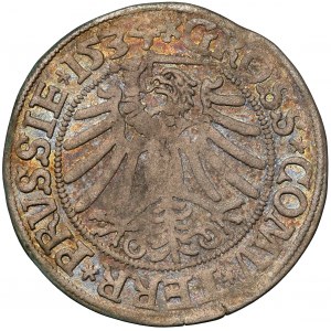 Zygmunt I Stary, Grosz Toruń 1534 - z włosami - ex. Karolkiewicz