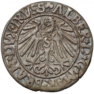 Prusy, Albrecht Hohenzollern, Grosz Królewiec 1545