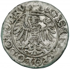 Zygmunt I Stary, Grosz Elbląg 1539