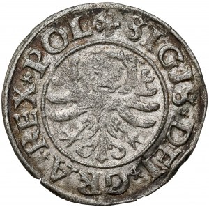 Zygmunt I Stary, Szeląg Gdańsk 1530