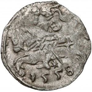 Zygmunt II August, Denar Wilno 1558