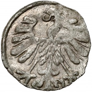 Zygmunt II August, Denar Wilno 1558