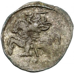 Zygmunt II August, Dwudenar Wilno 1569