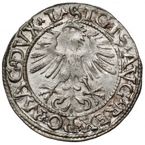 Zygmunt II August, Półgrosz Wilno 1562