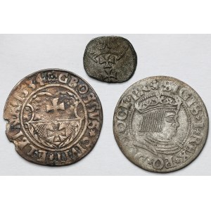 Zygmunt I Stary, Grosze 1533-1534 i Denar bez daty - zestaw (3szt)