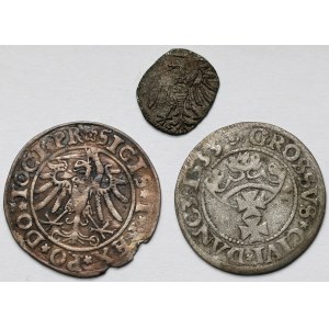 Zygmunt I Stary, Grosze 1533-1534 i Denar bez daty - zestaw (3szt)