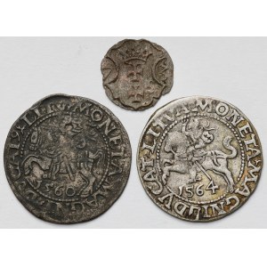Zygmunt II August, Półgrosz Wilno 1560-1564 i Denar Gdańsk 1573 - zestaw (3szt)