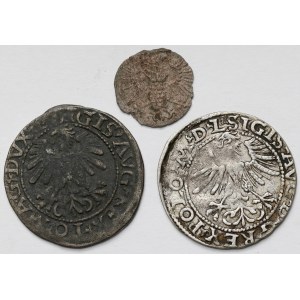 Zygmunt II August, Półgrosz Wilno 1560-1564 i Denar Gdańsk 1573 - zestaw (3szt)