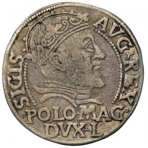 Zygmunt II August, Grosz na stopę polską 1547, Wilno