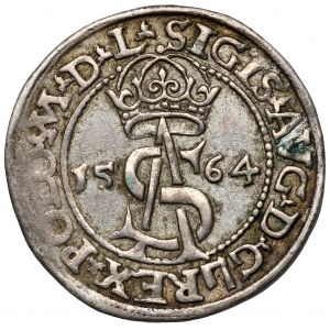 Zygmunt II August, Trojak Wilno 1564
