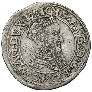 Zygmunt II August, Czworak Wilno 1566