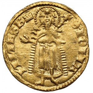 Ludwik Andegaweński, Goldgulden (1342-1353)