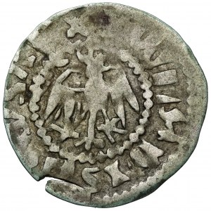 Władysław II Jagiełło, Kwartnik ruski, Lwów