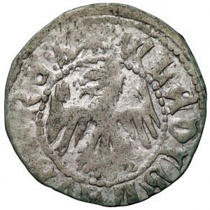 Władysław II Jagiełło, Kwartnik lwowski - LEMBORGE