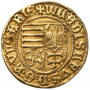 Władysław III Warneńczyk, Goldgulden bez daty (1443), Sybin