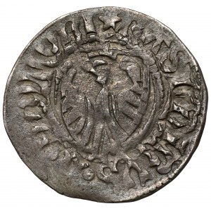 Kazimierz IV Jagiellończyk, Szeląg Elbląg