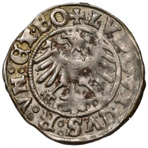 Śląsk, Świdnica, Ludwik Jagiellończyk, Półgrosz 152?