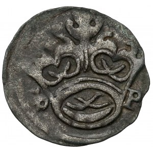 Zygmunt I Stary, Denar Kraków bez daty (1527-29) - SP i szable