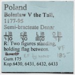 Śląsk, Bolesław I Wysoki, Denar Wrocław - BOLE