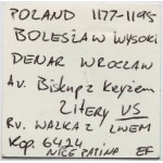 Śląsk, Bolesław I Wysoki, Denar Wrocław - Walka z lwem - krzyże