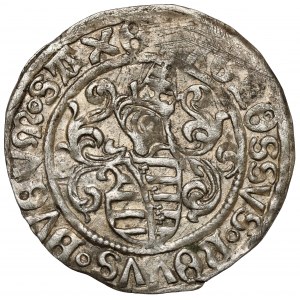 Saksonia, Friedrich III, Johann i Georg, Grosz bez daty (1500-1525)