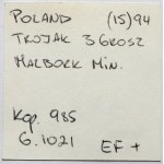 Zygmunt III Waza, Trojak Malbork 1594