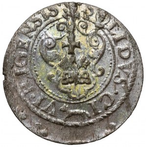 Zygmunt III Waza, Szeląg Ryga 1621
