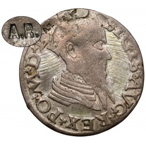 Zygmunt II August, Dwugrosz Wilno 1565 - b. rzadki - ex. Antoni Ryszard