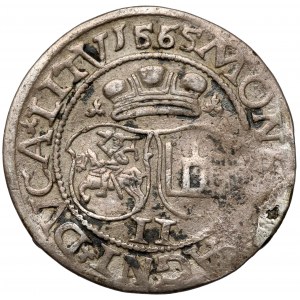Zygmunt II August, Dwugrosz Wilno 1565 - b. rzadki - ex. Antoni Ryszard