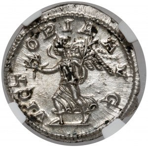 Aleksander Sewer (222-235 n.e.) Denar