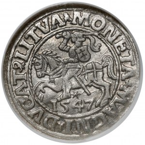 Zygmunt II August, Półgrosz Wilno 1547