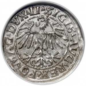 Zygmunt II August, Półgrosz Wilno 1548