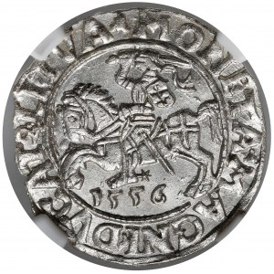Zygmunt II August, Półgrosz Wilno 1556