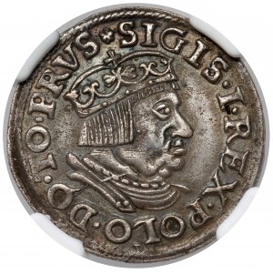 Zygmunt I Stary, Trojak Gdańsk 1537 - wczesny