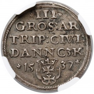 Zygmunt I Stary, Trojak Gdańsk 1537 - wczesny